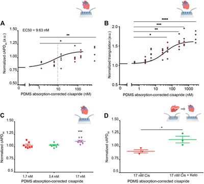 Integrated Isogenic Human Induced Pluripotent Stem Cell–Based Liver and Heart Microphysiological Systems Predict Unsafe Drug–Drug Interaction